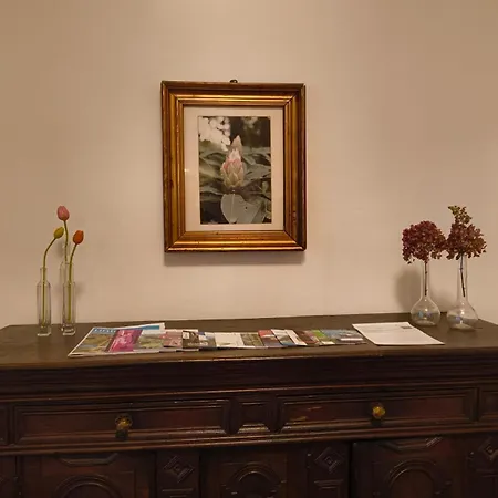 Pinahaus Вупперталь